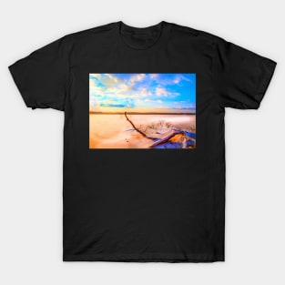 Winter landscape near a pond T-Shirt